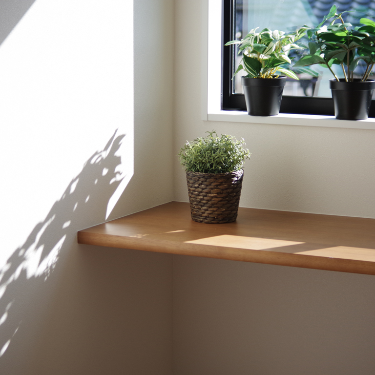 観葉植物 日当たり 家づくり